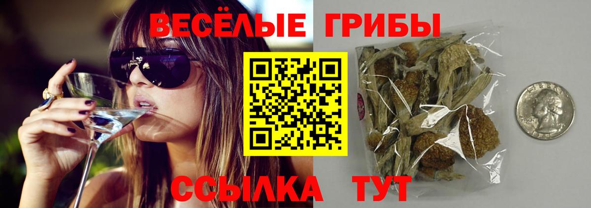 Псилоцибиновые грибы ЛСД  Вход с VPN  купить  сайты  Псилоцибиновые грибы Psilocybe  Артём 